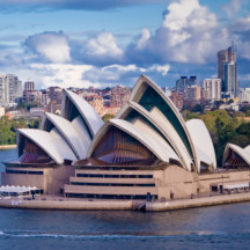 Profilbild von Felicia from BuddyBoss